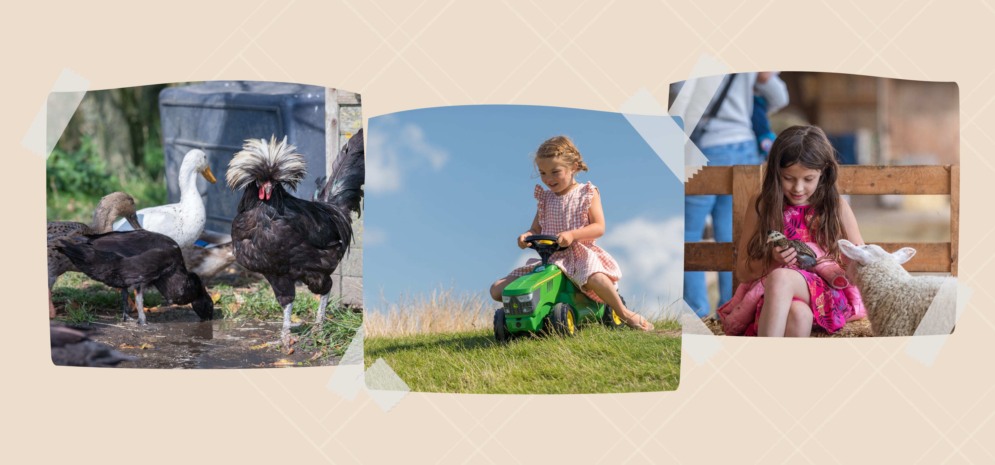 Drie afbeeldingen: eenden en kippen bij het water, een jong meisje dat op een speelgoedtractor op het gras rijdt en twee meisjes die op een bankje zitten en een lammetje aaien. Perfecte beelden voor websites of webshops die zich richten op het boerderijleven en plezier met het gezin.