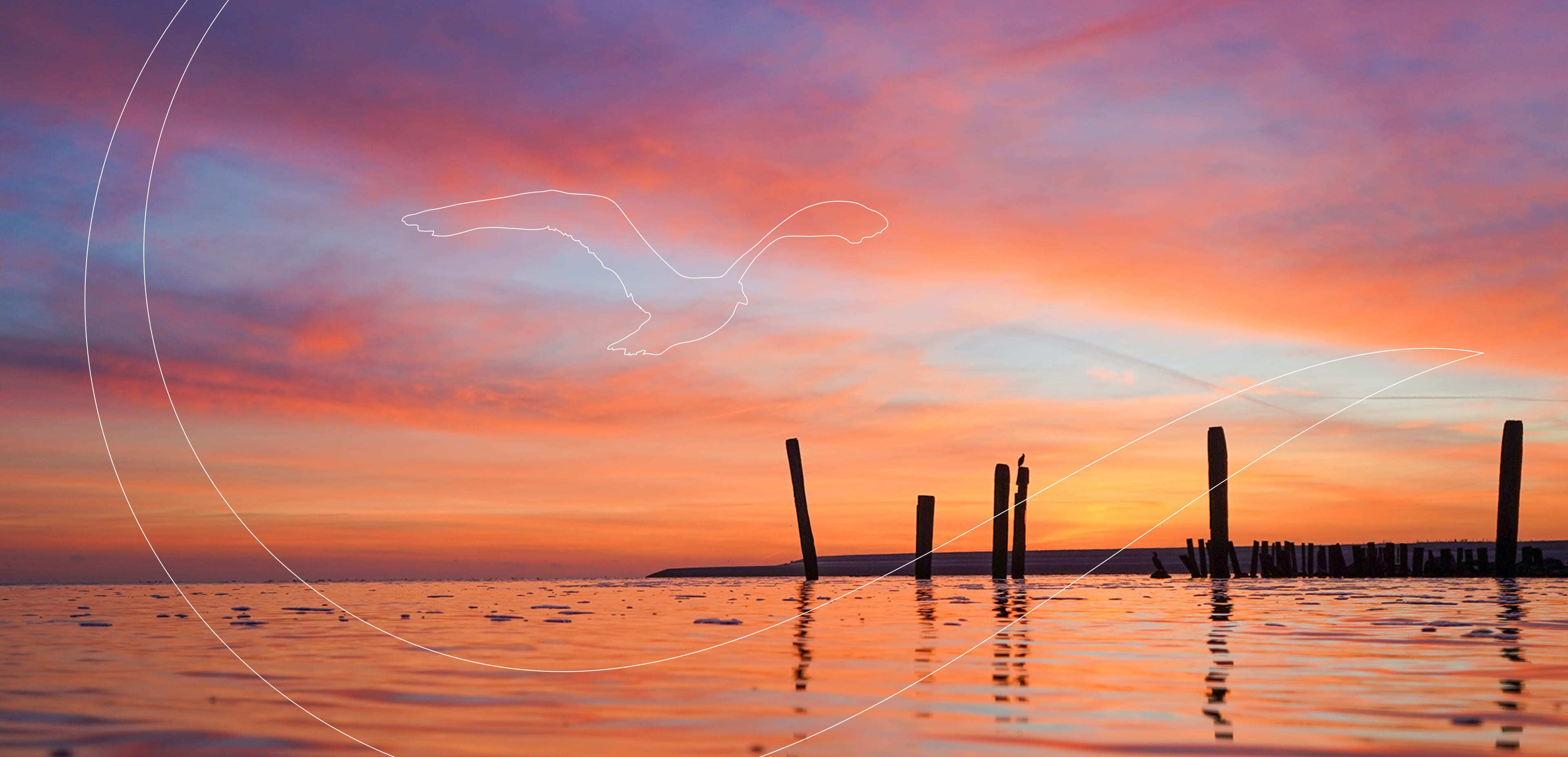 Kleurrijke zonsondergang boven kalm water met silhouetten van houten palen, ver land en een vage lijntekening van een vliegende vogel in de lucht: de perfecte inspiratie voor websites of webshops die op zoek zijn naar een rustige, uitnodigende sfeer.